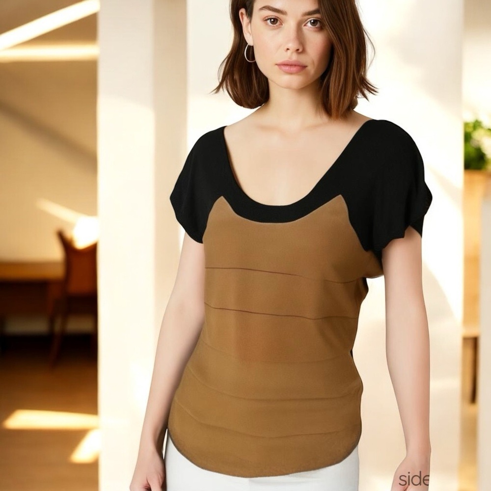 Zara Special Addition Black and Camel Scoop Neck Tee Size S